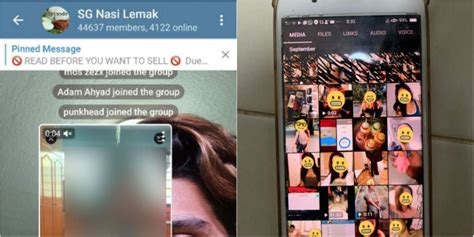 sg mega leaks|Telegram group members share videos of sexual acts。